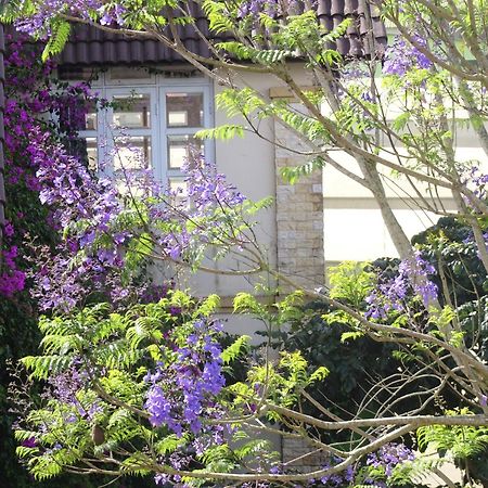 Mento Villa ดาลัด ภายนอก รูปภาพ