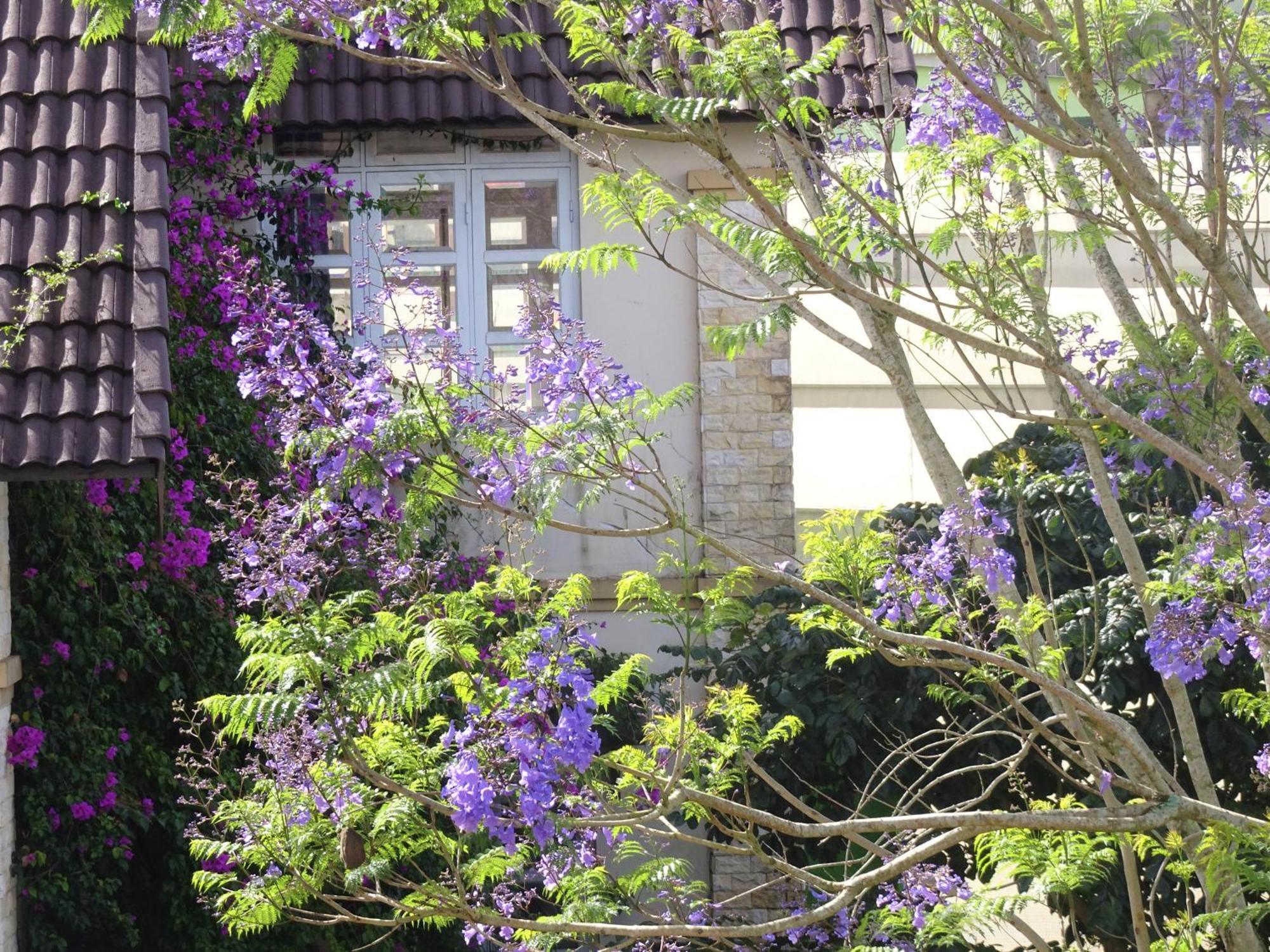 Mento Villa ดาลัด ภายนอก รูปภาพ