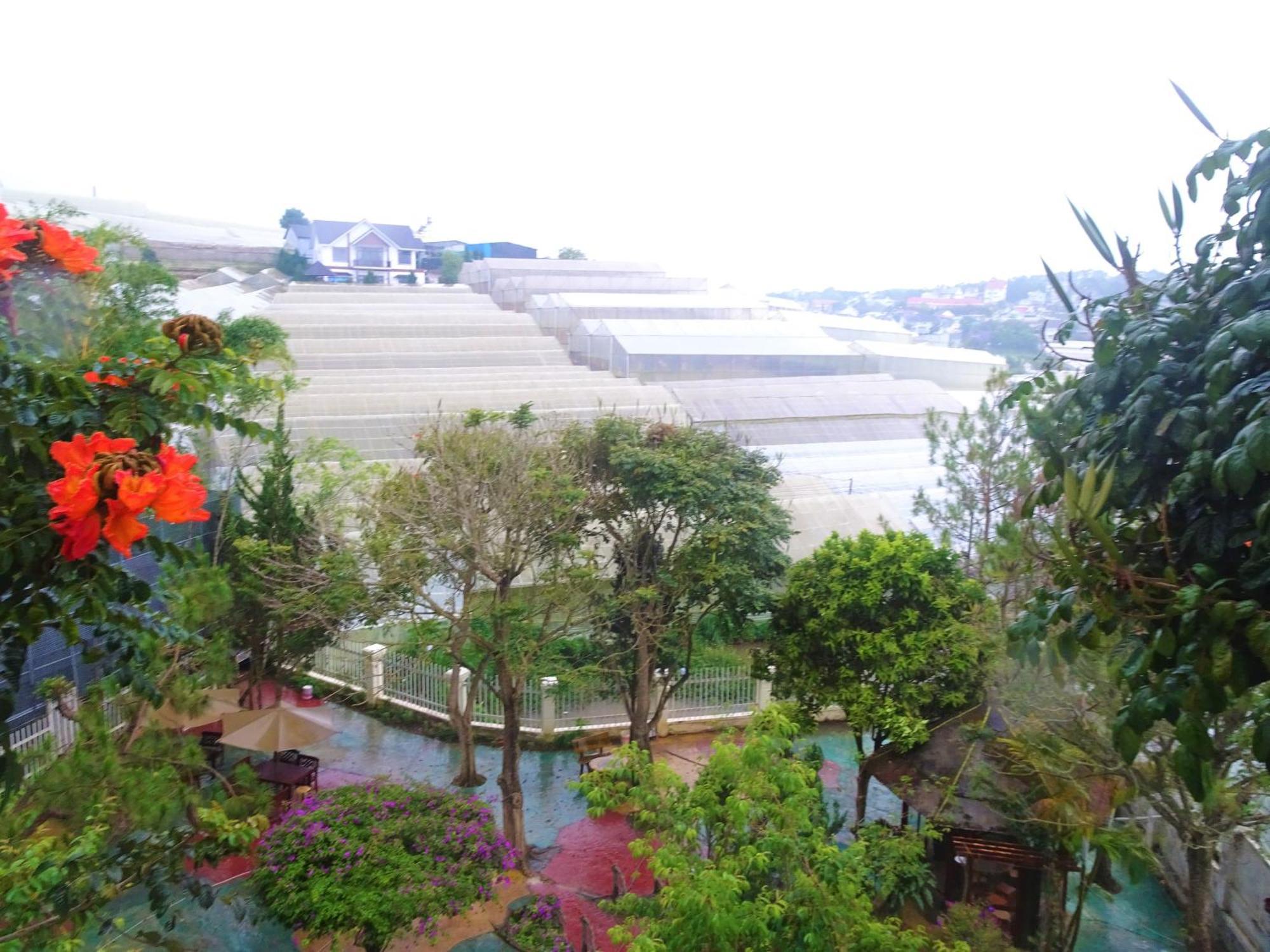 Mento Villa ดาลัด ภายนอก รูปภาพ