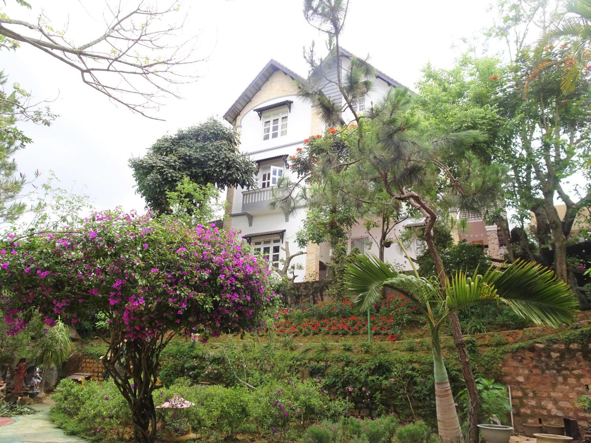 Mento Villa ดาลัด ภายนอก รูปภาพ