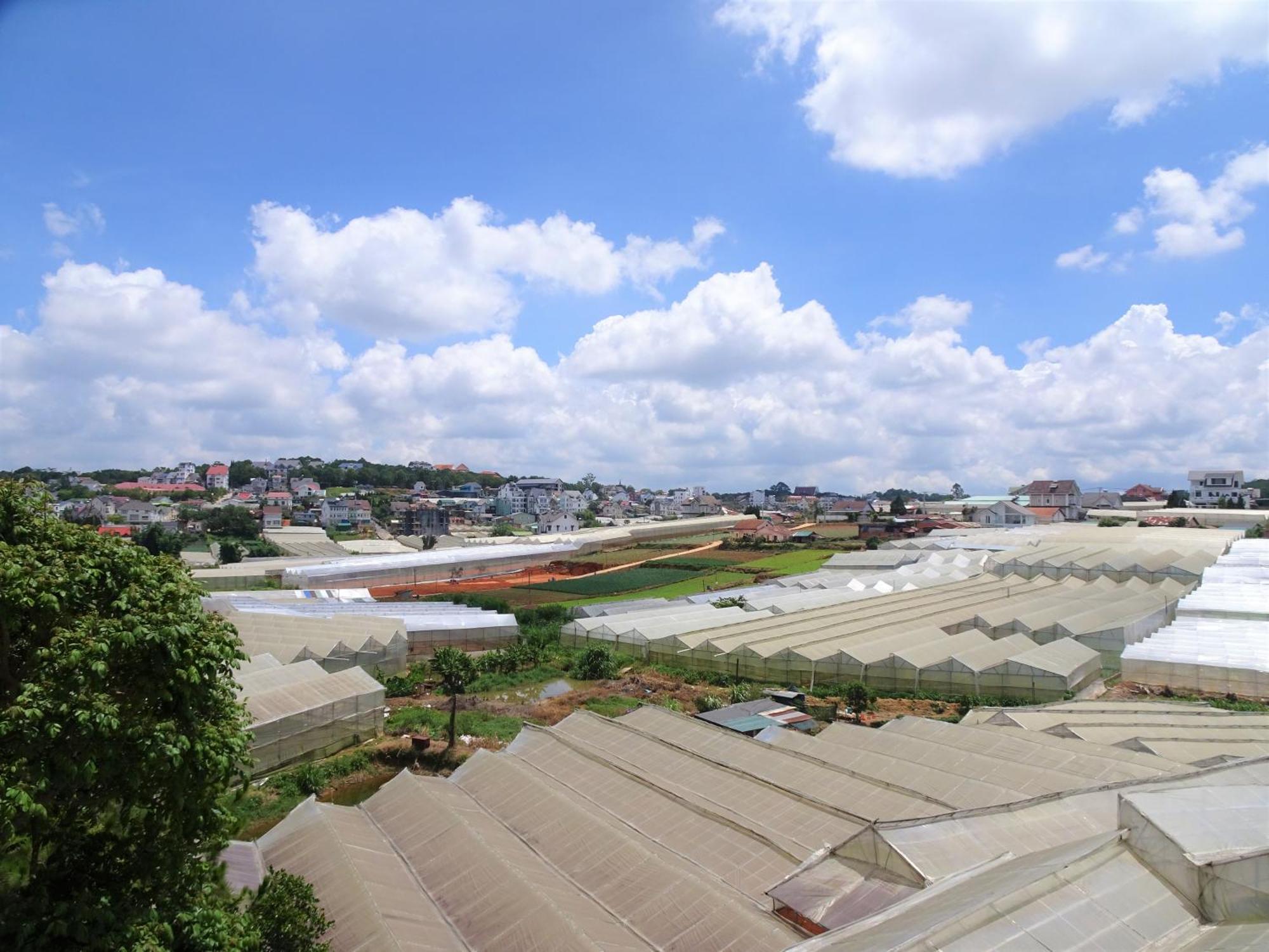 Mento Villa ดาลัด ภายนอก รูปภาพ