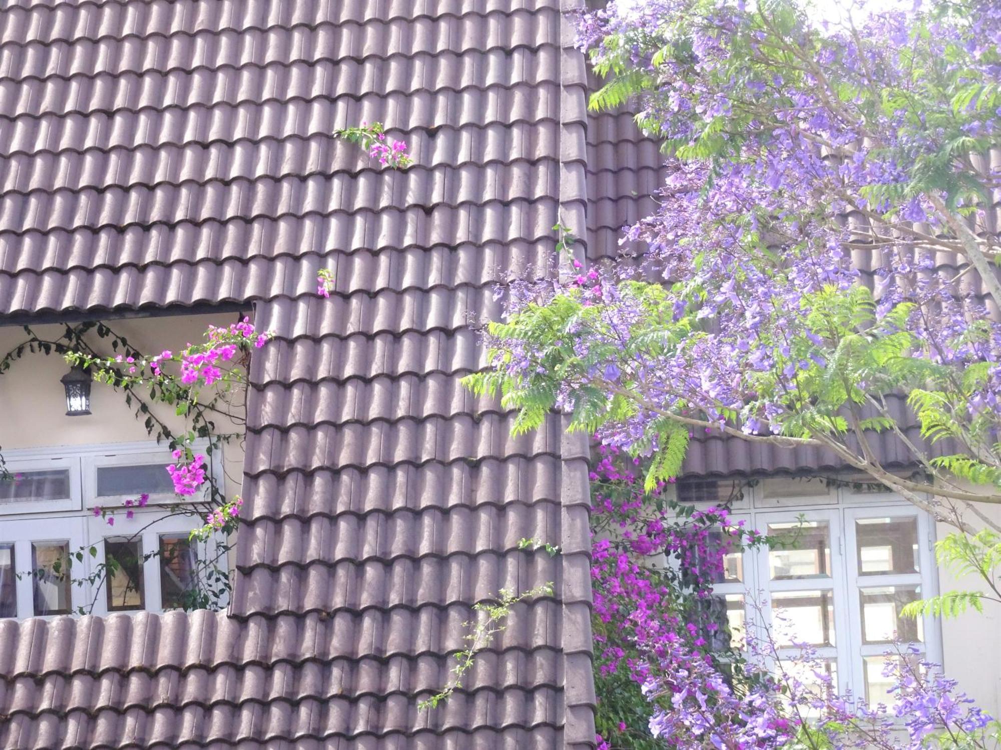 Mento Villa ดาลัด ภายนอก รูปภาพ