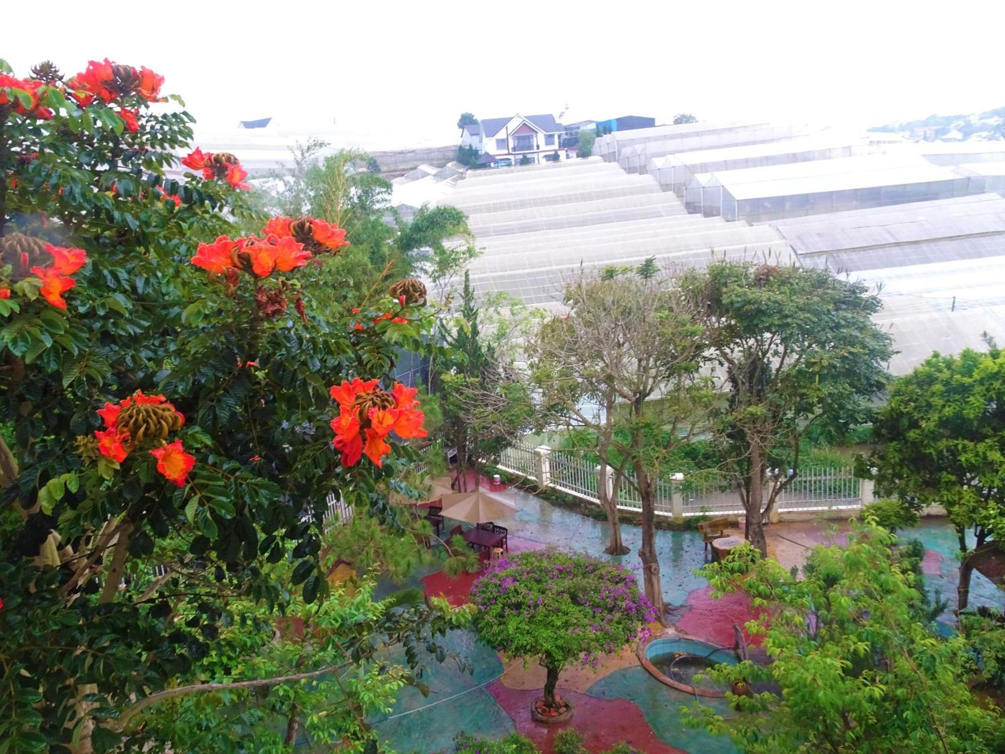 Mento Villa ดาลัด ภายนอก รูปภาพ